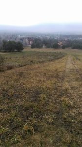 15241309_1248898568503739_8090721099409878114_n