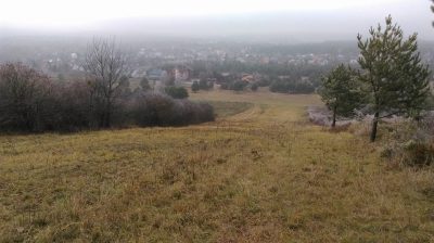 15241962_1248898501837079_3330248492265161809_n